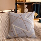 Deluxe Chenille Velvet Cushion Decorative Throw Pillow (Light Grey Mixed)