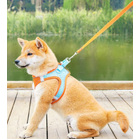 Large Dog Harness and Leash Set Pet Vest Lead (Orange, L)