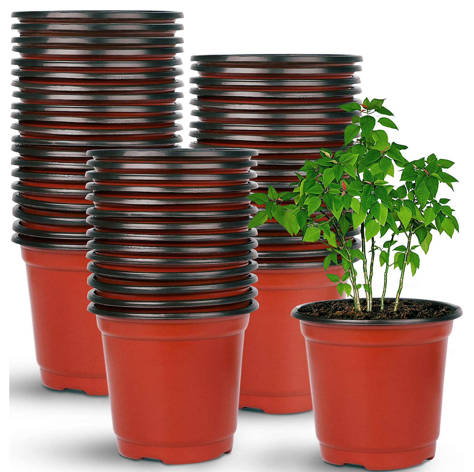 100 X Plant Flower Garden Pots Nursery Seedlings Pot Growing Container (150mm)