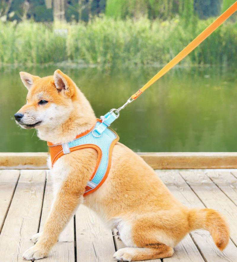 Medium Dog Harness and Leash Set Pet Vest Lead (Orange, M)