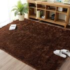 Plush Shag Rug Carpet Mat (Chocolate, 120 x 160 cm)