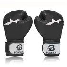 Fitness Training Boxing Gloves (Black)
