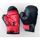 Fitness Training Boxing Gloves (Black & Red)