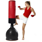 Punching Bag & Boxing Stand