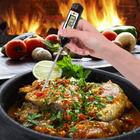 Food BBQ Cooking Digital Probe Thermometer