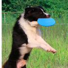 Dog Frisbee Flying Disc Pet Training Toy (Blue)