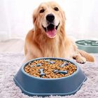 Healthy Eating Slow Feeding Dog Bowl Interactive Pet Feeder