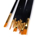 10PCS Paint Brush Set Artist Paintbrushes Kit (Black)