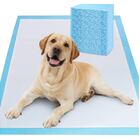 40 X Large Puppy Pads Dog Toilet Training Mats (60cm x 60cm)