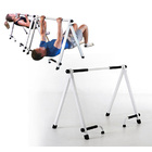 Workhorse Inverted Pull Up Bar Stand