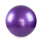 Professional Yoga Exercise Gym Ball (45cm, Purple)