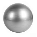 Professional Yoga Exercise Gym Ball (55cm, Silver)