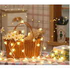 Fairy Star Lights LED String Light Home Garden Decorations (3m, 20LED)
